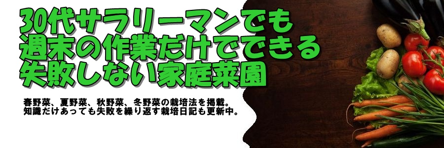 成長しない理由は寒さが原因 オクラの栽培はマルチが成功の秘訣